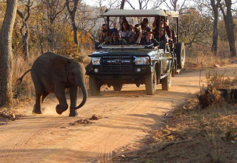 Clifftop Exclusive Safari Hideaway, Pirschfahrt © Foto: Clifftop Exclusive Safari Hideaway