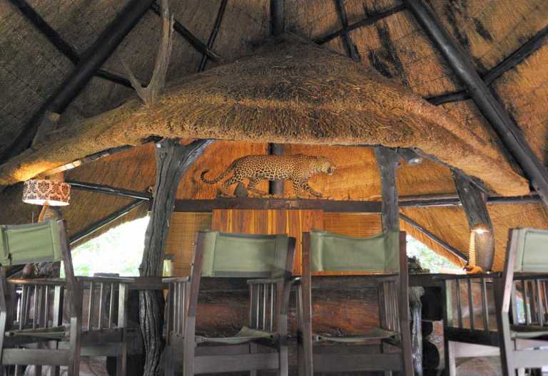 Ivory Safari Lodge, Bar