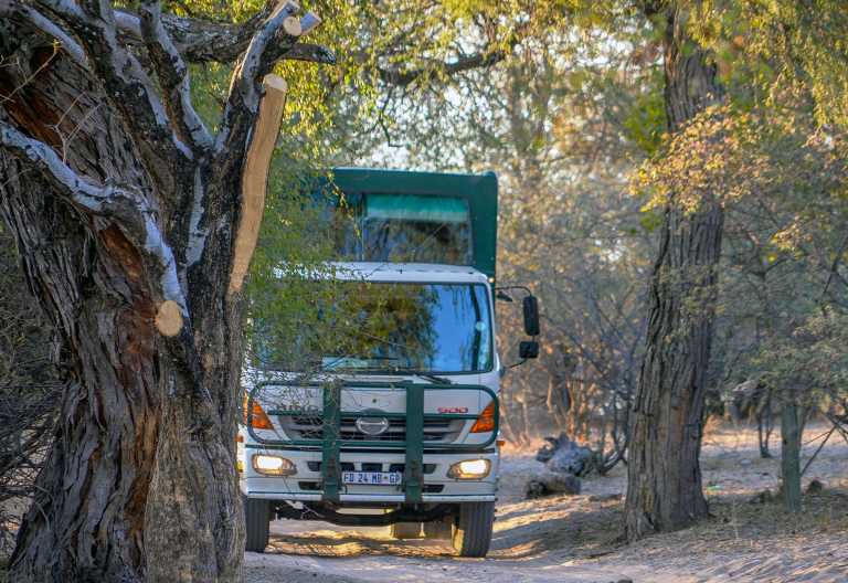 Safari-Truck unterwegs in Botswana &copy; Foto: Lion Mountain Media | Drifters
