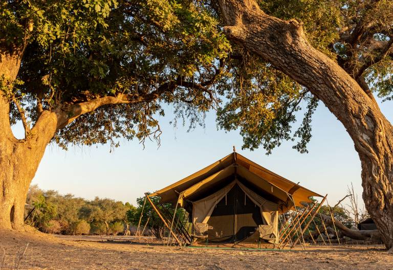 Zambezi Expeditions Camp, Zelt © Foto: Marco Penzel | Outback Africa