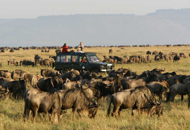 Große Tierwanderung in der Massai Mara, Rekero Camp © Foto: Asilia Africa