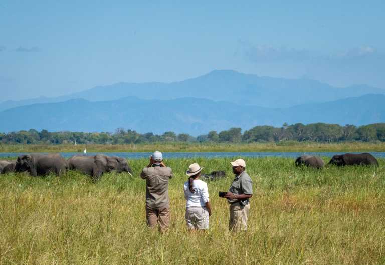 Pirschwanderung im Liwonde Nationalpark © Foto: Dana Allen | Robin Pope Safaris