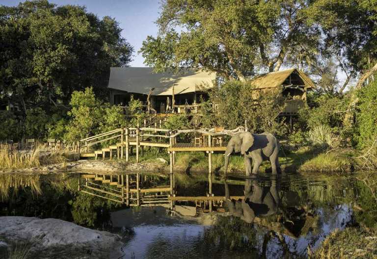 Litte Tubu Camp, Zelte © Foto: Dana Allen  Wilderness Safaris