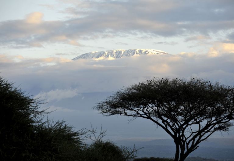 Blick zum Kilimanjaro © Foto: Svenja Penzel | Outback Africa