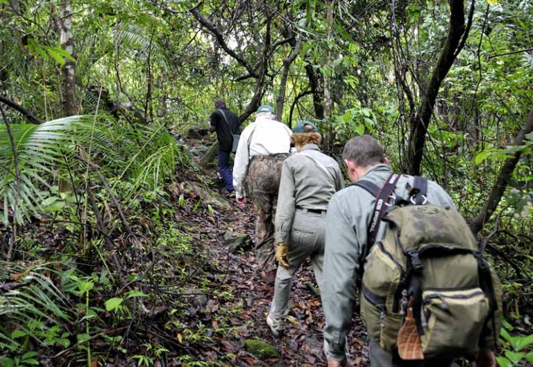 Schimpansentracking im Mahale Mountains Nationalpark © Foto: Marco Penzel | Outback Africa
