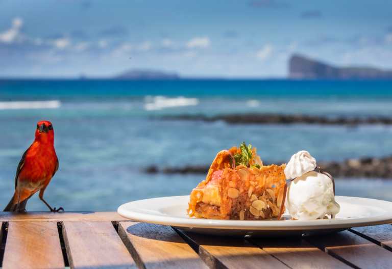 Vogel und Dessert, Cannonier Beachcomber Resort and Spa © Foto: Beachcomber Hotels