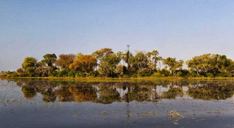 Pelo Camp, Insel im Okavangodelta © Foto: Wilderness Safaris
