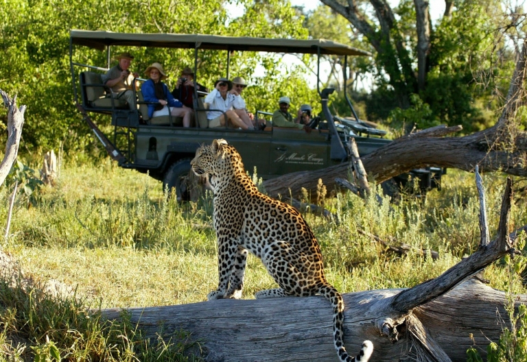 Pirschfahrt in der Mombo-Konzession, Moremi © Foto: Michael Poliza für Wilderness Safaris