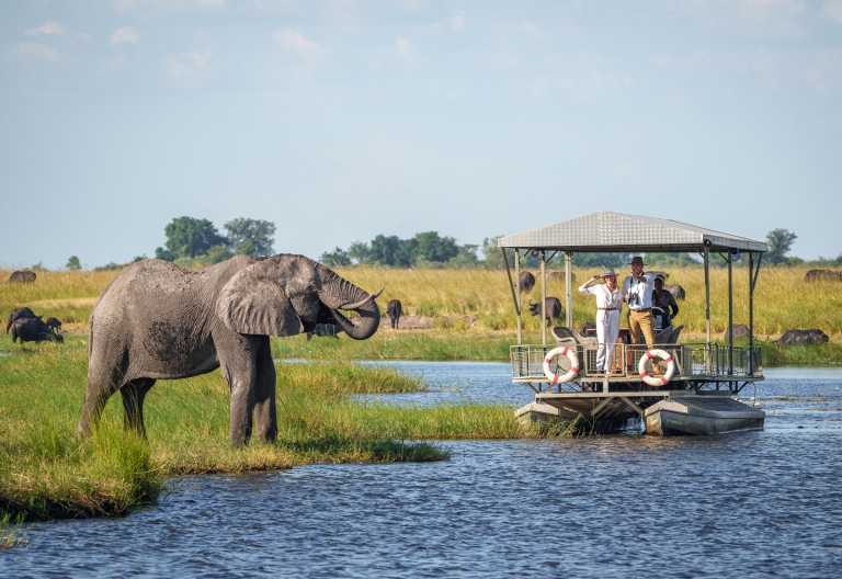 Bootsafari auf dem Chobe, Chobe Game Lodge © Foto: Dana Allen for Desert&Delta