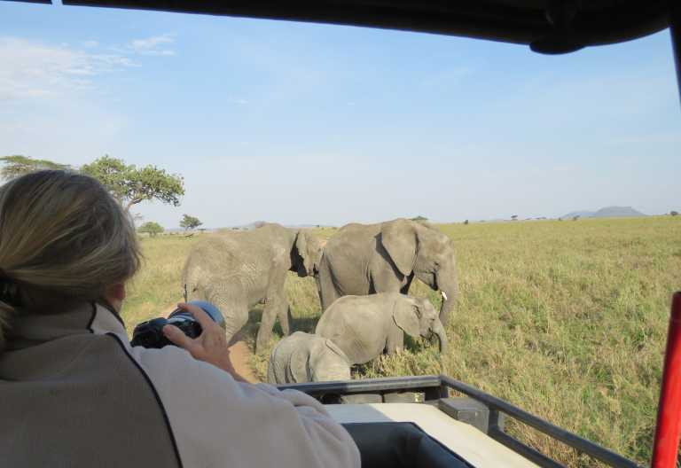 Auf Pirschfahrt in der zentralen Serengeti, Serengeti Wilderness Camp © Foto: Serengeti Wilderness Camps