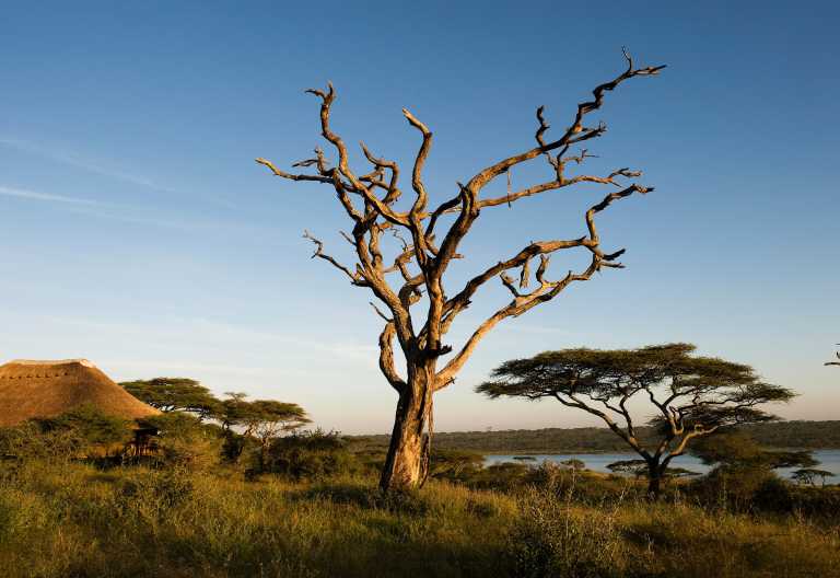 Masek Tented Lodge am Ufer des Lake Masek in der südlichen Serengeti © Foto: Tanganyika Wilderness Camps (TWC)