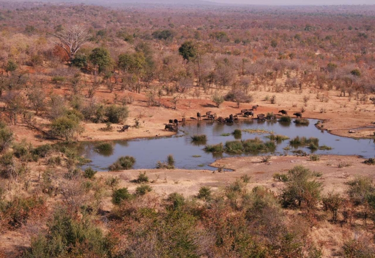 Victoria Falls Safari Lodge © Foto: Doreen Schütze | Outback Africa
