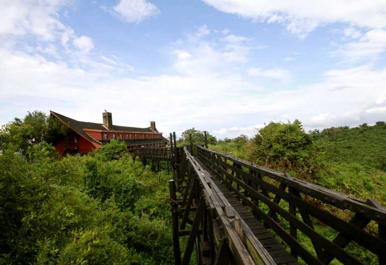The Ark, Aberdare National Park