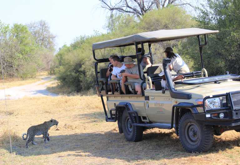 Khwai Tented Camp, Pirschfahrt © Foto: African Bush Camps