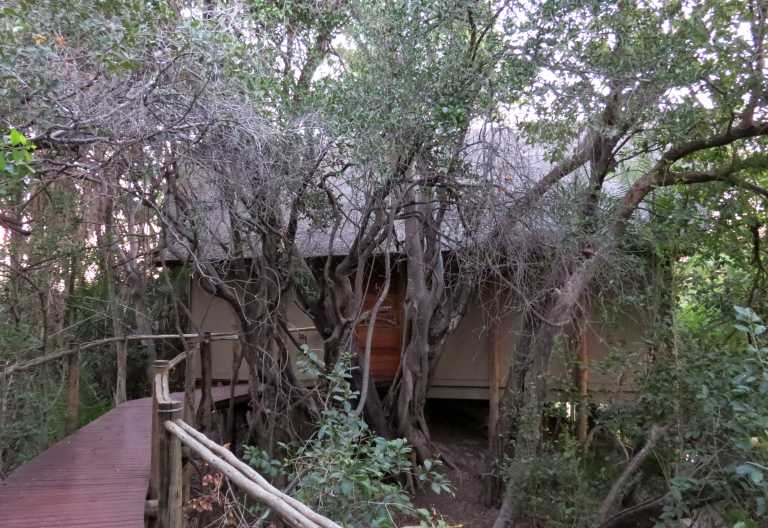 Chalet, Nxamaseri Island Lodge © Foto: Susanne Schlesinger | Outback Africa