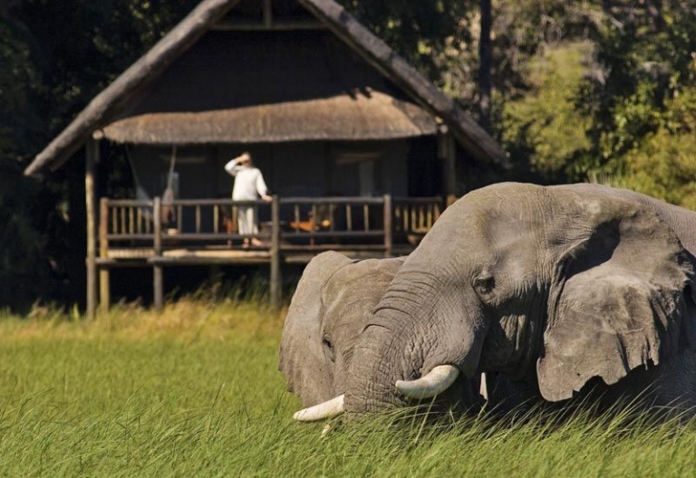 Elefanten vor einem Zelt-Chalet der Khwai River Lodge © Foto: Philip Schedler