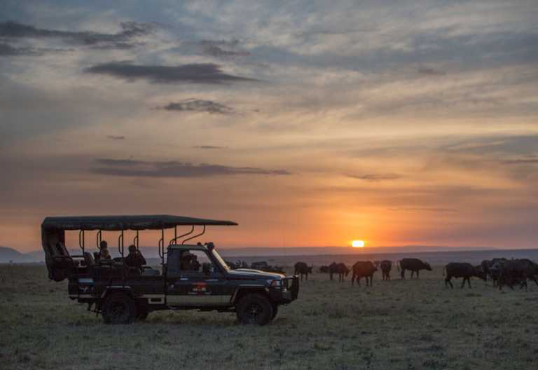 Auf Pirschfahrt zum Sonnenuntergang in der Mara North Conservancy, Kenia © Foto: Silverless for Elewana Collection