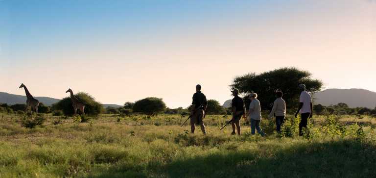 Madikwe Safari Lodge, Pirschwanderung © Foto: DOOKPHOTO