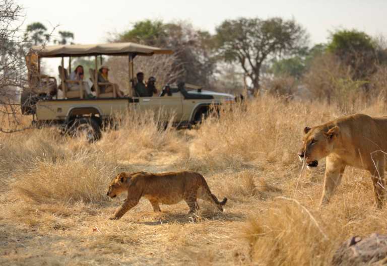 Pirschfahrt im Ruaha Nationalpark, Ikuka Safari Camp © Foto: Ikuka Safari Camp