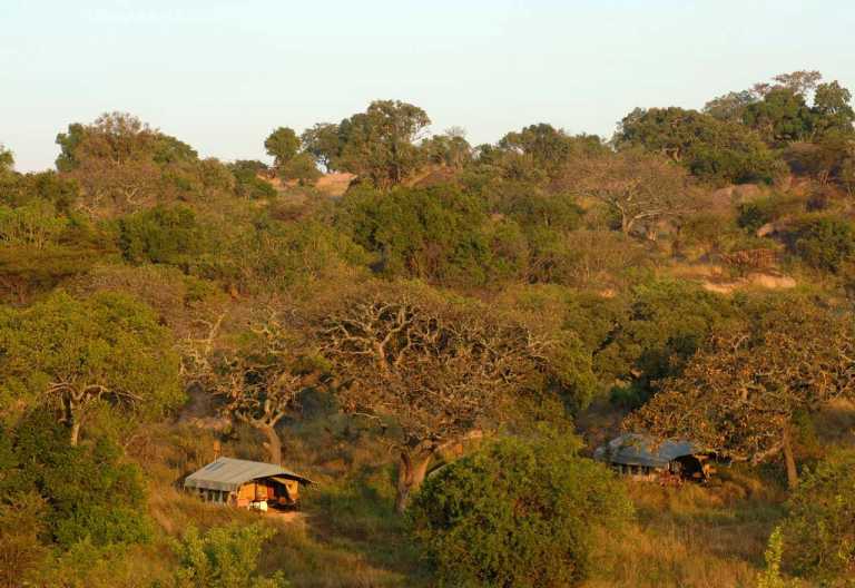 Serengeti Safari Camp, Umgebung