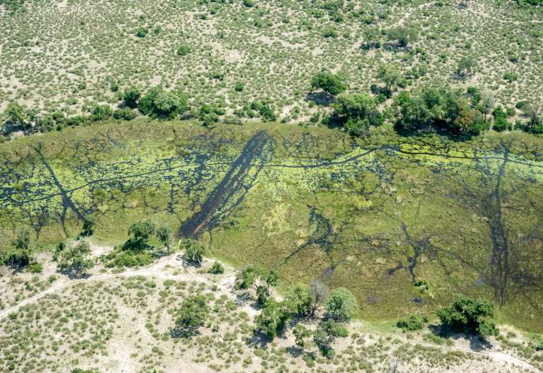 Furt im Okavango-Delta © Foto: Marco Penzel | Outback Africa