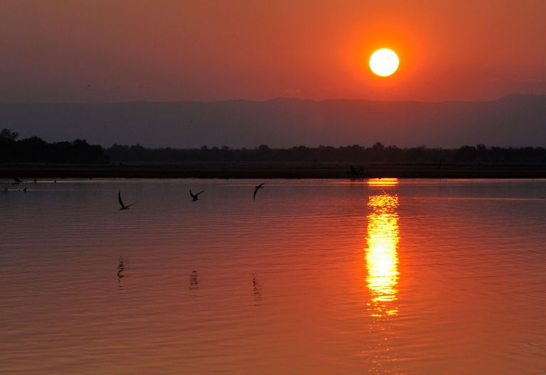 Abendstimmung am Luangwa © Foto: Marco Penzel | Outback Africa