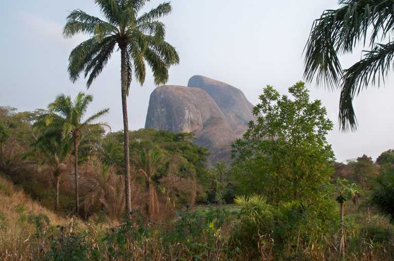 Rio Uiri Combira Forest &copy; Foto: René Schmidt | Outback Africa