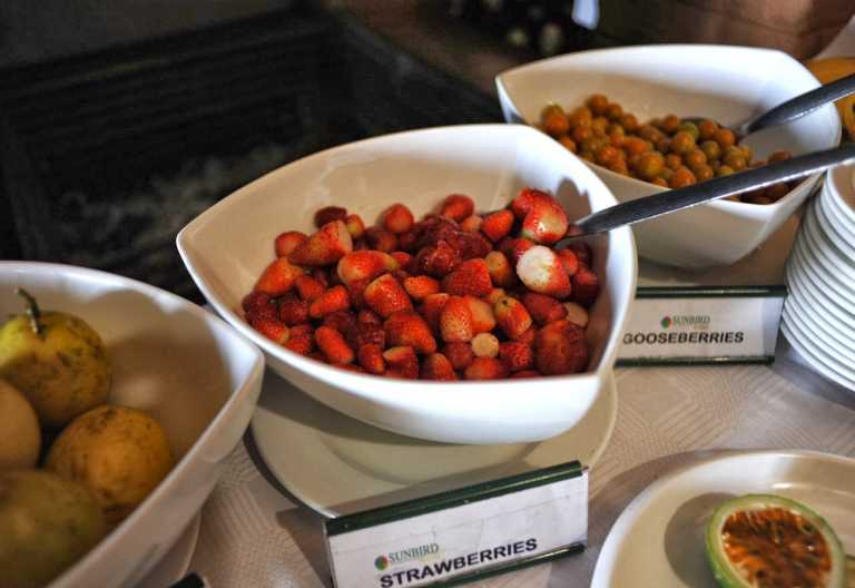 Sehr leckere Erdbeeren, frisch vom Plateau © Foto: Svenja Penzel | Outback Africa