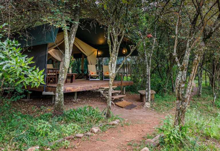 Bild zur Lodge