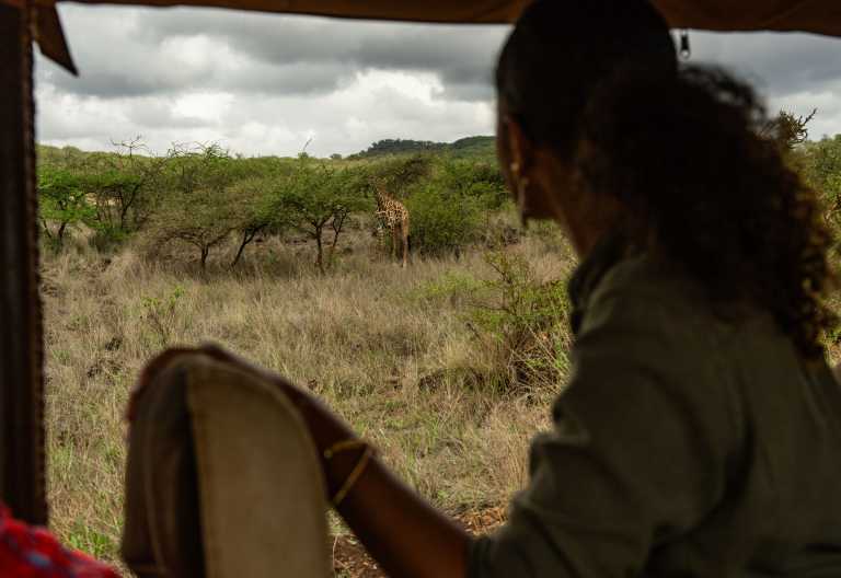 Auf Pirschfahrt im Tsavo Nationalpark, Severin Safari Camp, Kenia © Foto: Severin Safaris