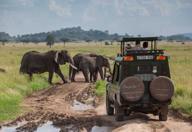 Auf Pirschfahrt in der Serengeti, Serengeti Pioneer Camp © Foto: Niels van Gijn / Silverless