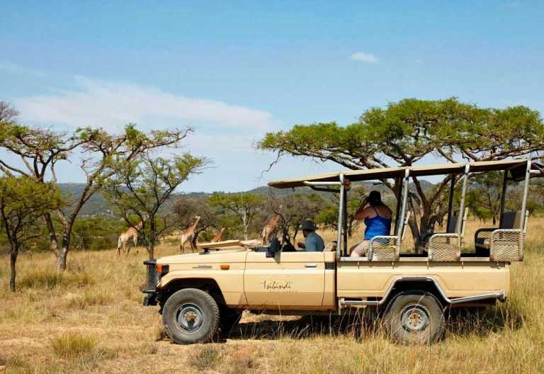 Isibindi Zulu Lodge, Pirschfahrt