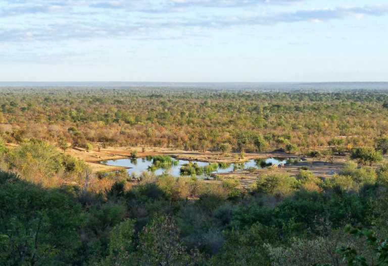Victoria Falls Safari Club Wasserloch © Foto: Ulrike Pârvu | Outback Africa