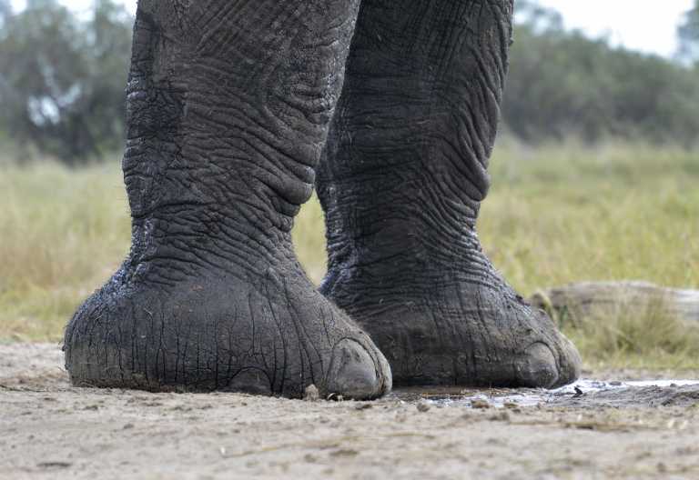 Camelthorn Lodge, Hide © Foto: Ulrike Pârvu | Outback Africa