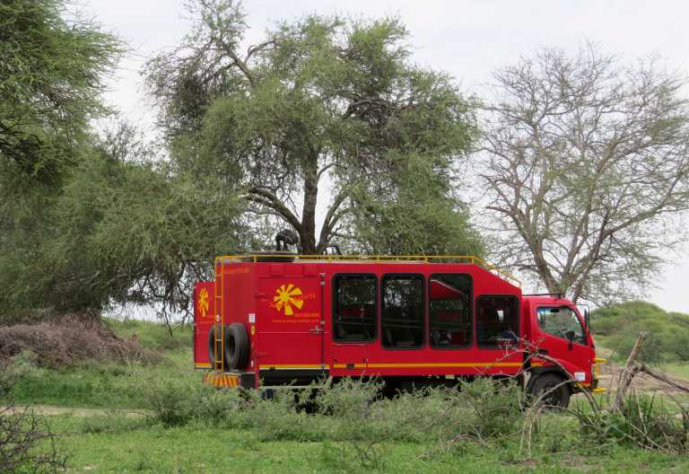 Mittagspause im Grünen auf dem Weg nach Maun &copy; Foto: Susanne Schlesinger | Outback Africa