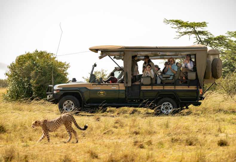 Pirschfahrt in der Massai Mara