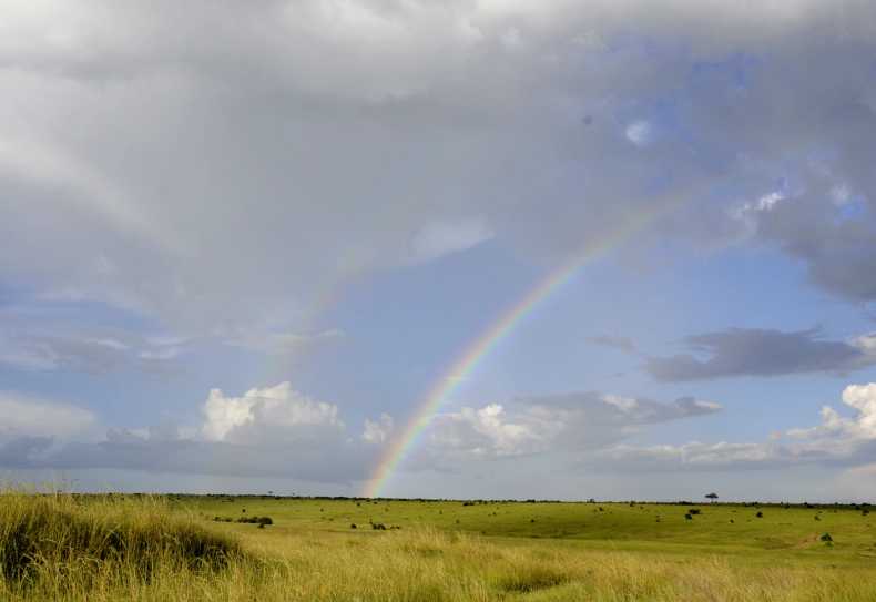 Regenbogen über der Massai Mara