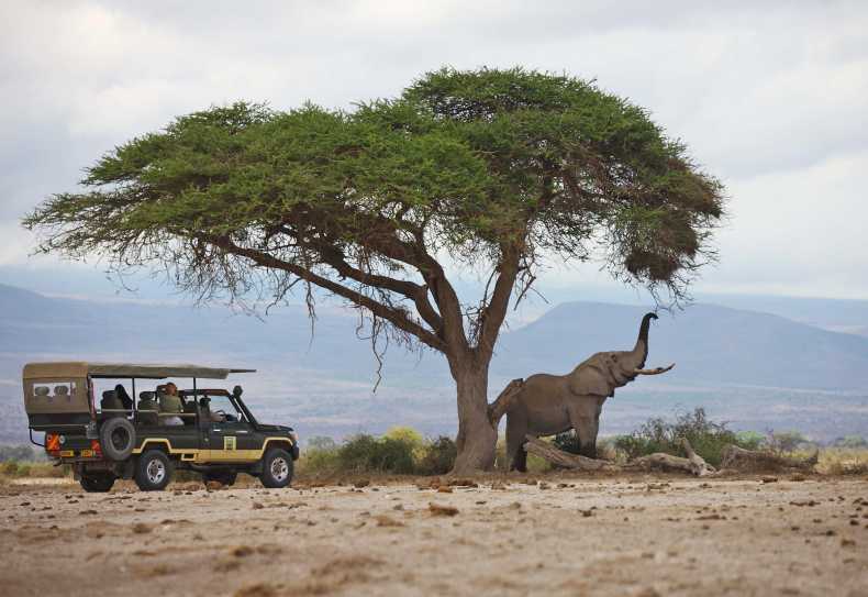 Pirschfahrt im Amboseli Nationalpark