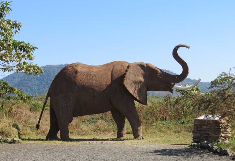 Elefantenstatue am Parkeingang zum Arusha Nationalpark