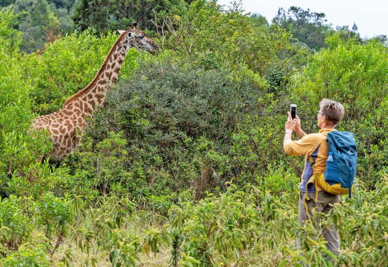 Pirschwanderung im Arusha Nationalpark