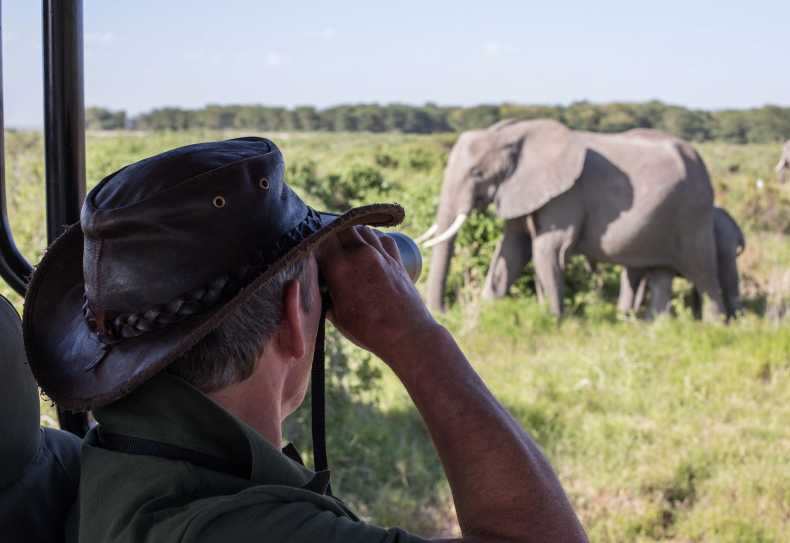 Auf Pirschfahrt in Amboseli, Tortilis Camp