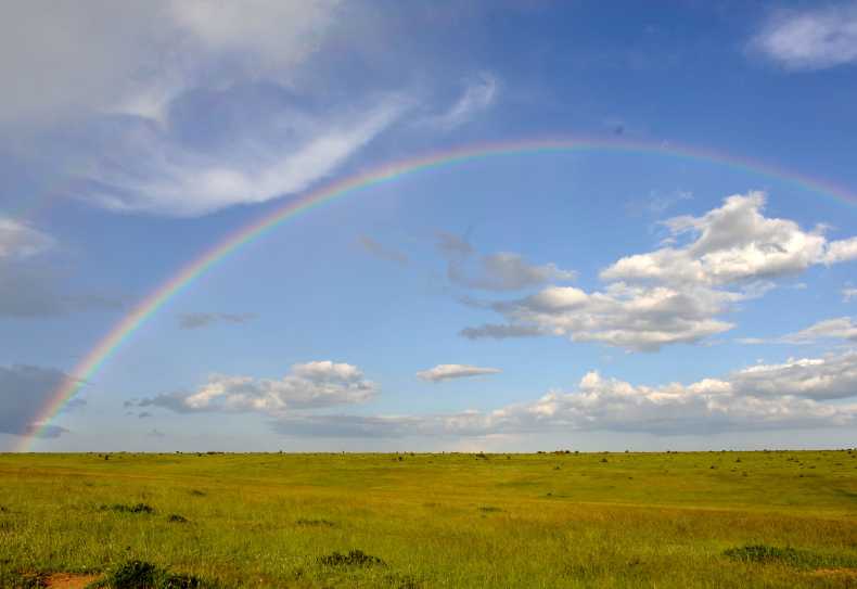 Regenbogen über der Massai Mara, Kenia