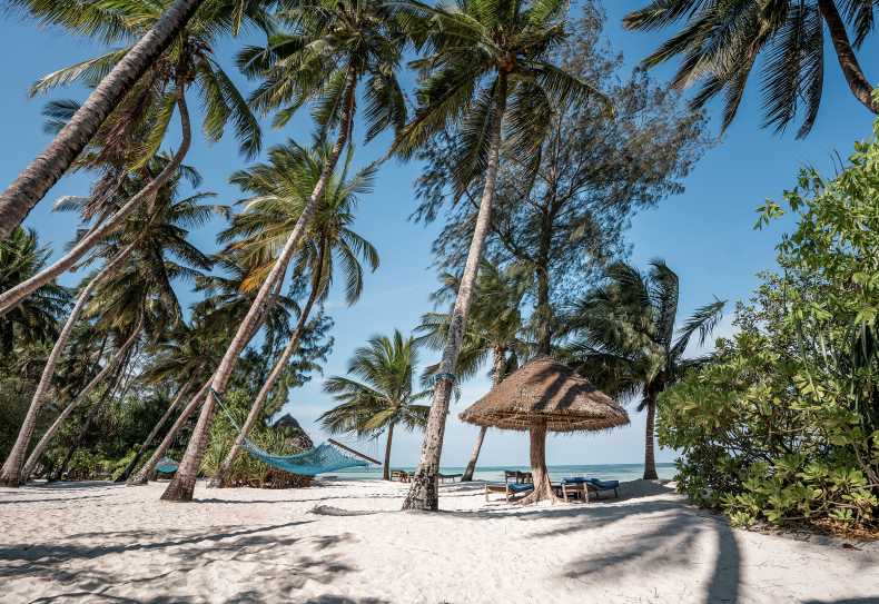 Am Strand laden Hängematten zum Schaukeln ein