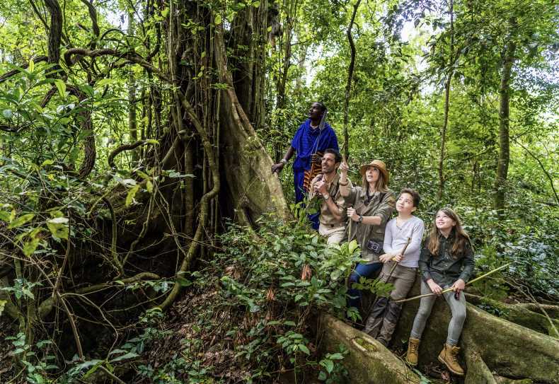 Wanderung im Regenwald am Fuße des Mt. Meru